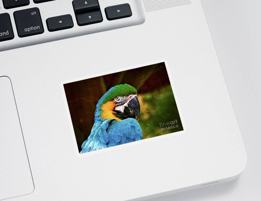 Macaw Sticker featuring the photograph Macaw Portrait by Kathy Baccari