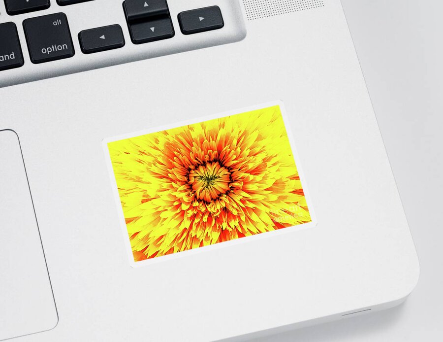 Macro Sticker featuring the digital art Macro Flower Petals by Phil Perkins