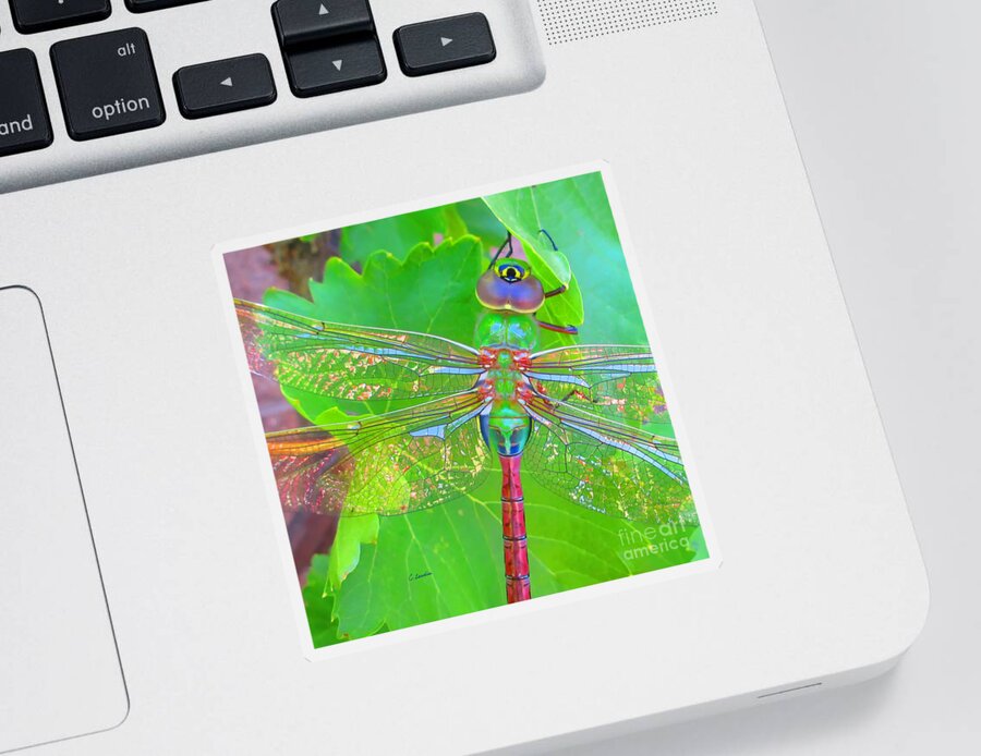 Claudia's Art Dream Sticker featuring the photograph Magnificent Dragonfly - Square Macro by Claudia Ellis