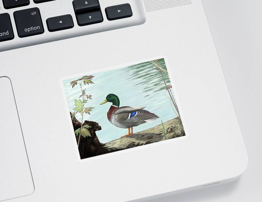 Duck Sticker featuring the digital art Mallard 2010 by Troy Stapek