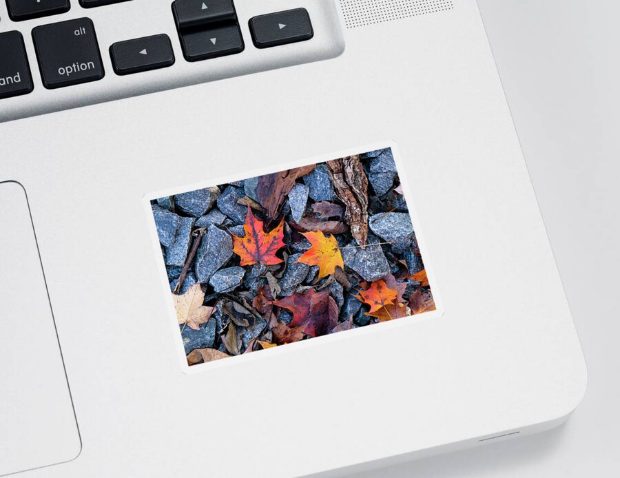 Autumn Sticker featuring the photograph Maple Rocks by Todd Bannor