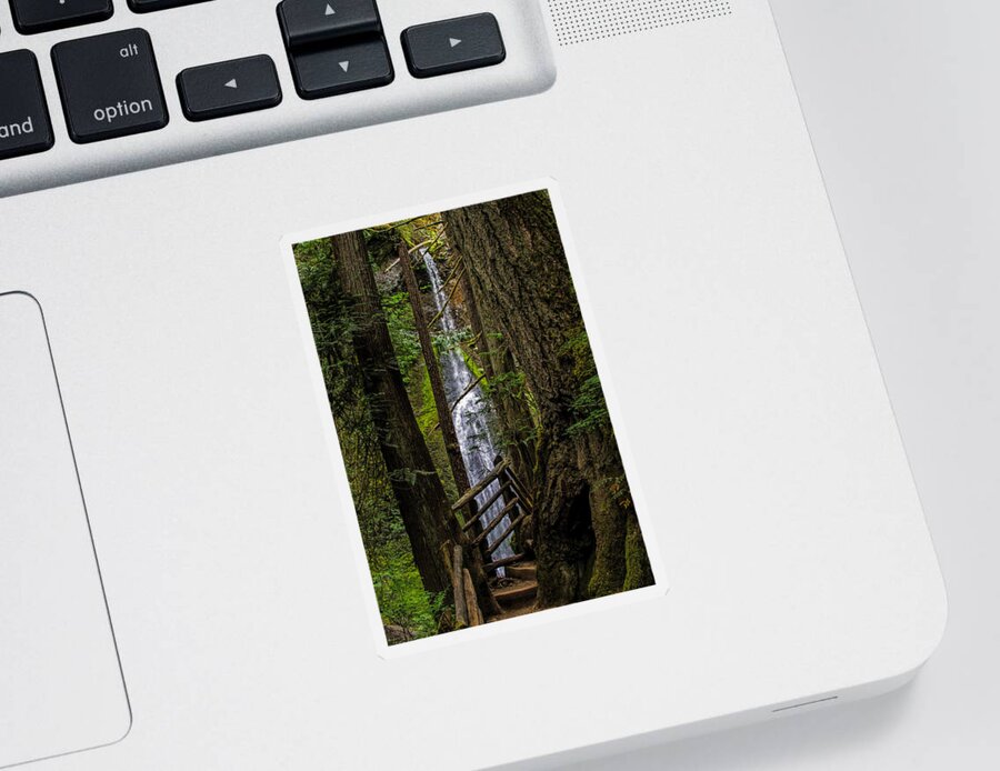 Water Fall Sticker featuring the photograph Mary Mere by Alana Thrower