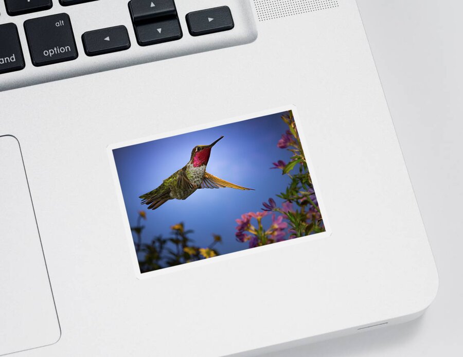 Hummingbird Sticker featuring the photograph May I help you sir? by William Lee