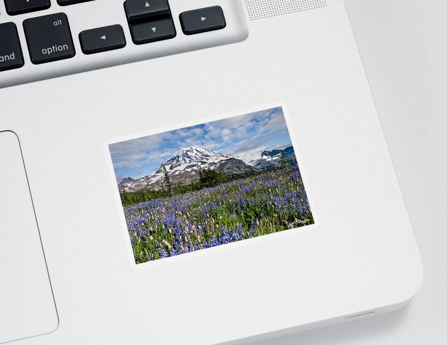 Alpine Sticker featuring the photograph Meadow of Lupine Near Mount Rainier by Jeff Goulden