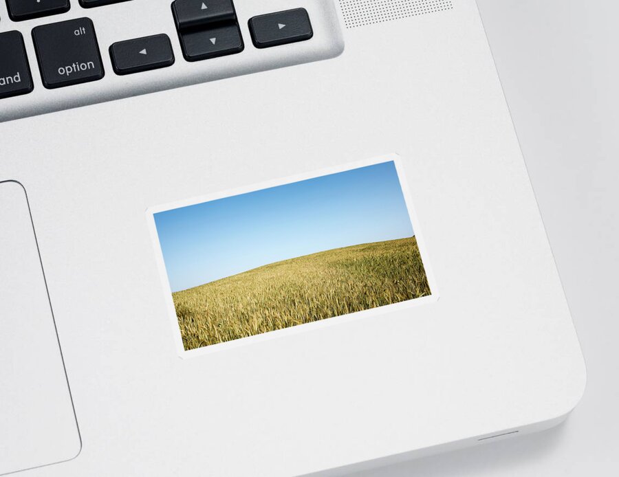 Nature Landscape Sticker featuring the photograph Nature landscape background by Michalakis Ppalis