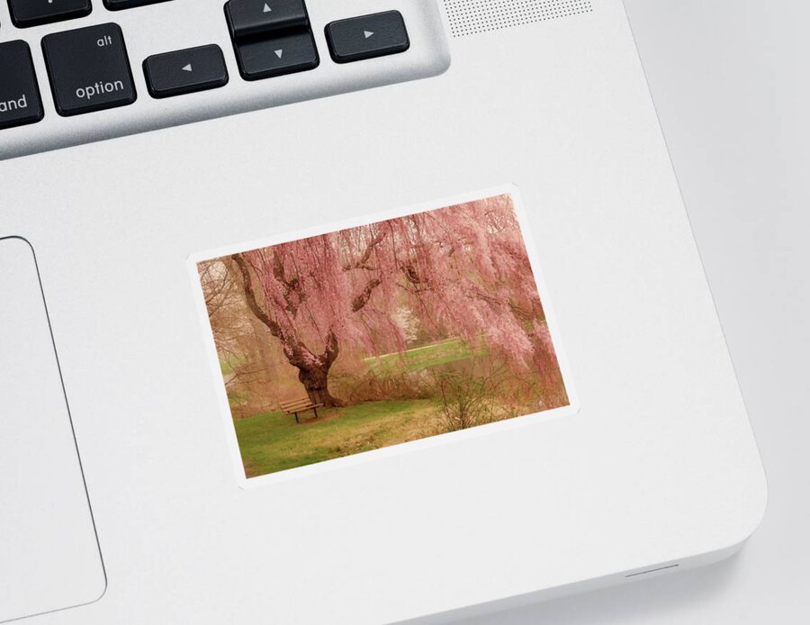 Cherry Blossom Trees Sticker featuring the photograph Memories - Holmdel Park by Angie Tirado