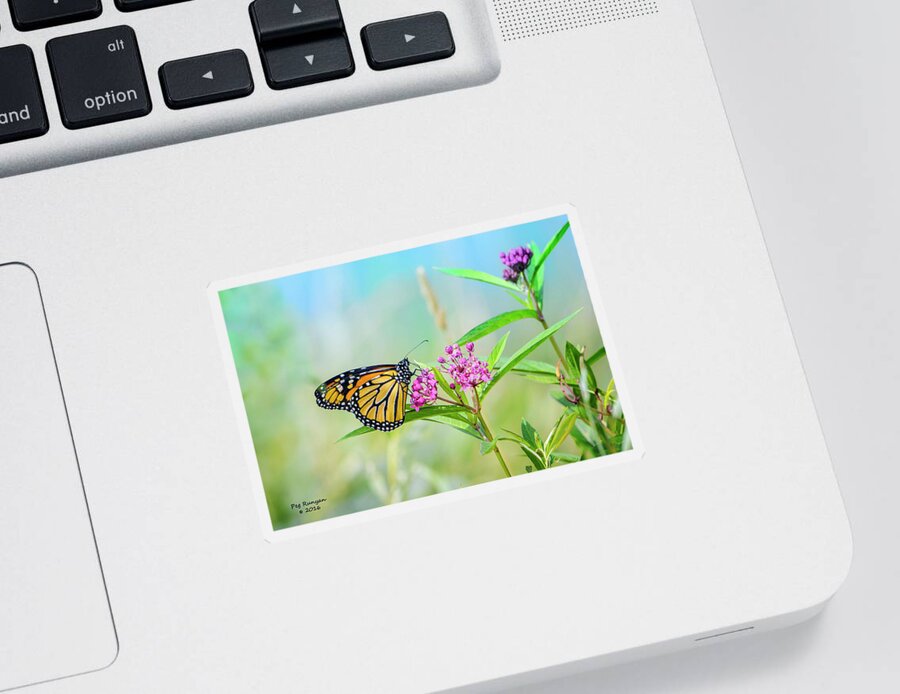 Butterfly Sticker featuring the photograph Mighty Monarch by Peg Runyan