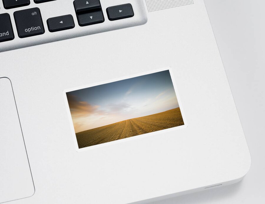 Sunset Sticker featuring the photograph Minimalistic landscape with Meadow wheat field by Michalakis Ppalis