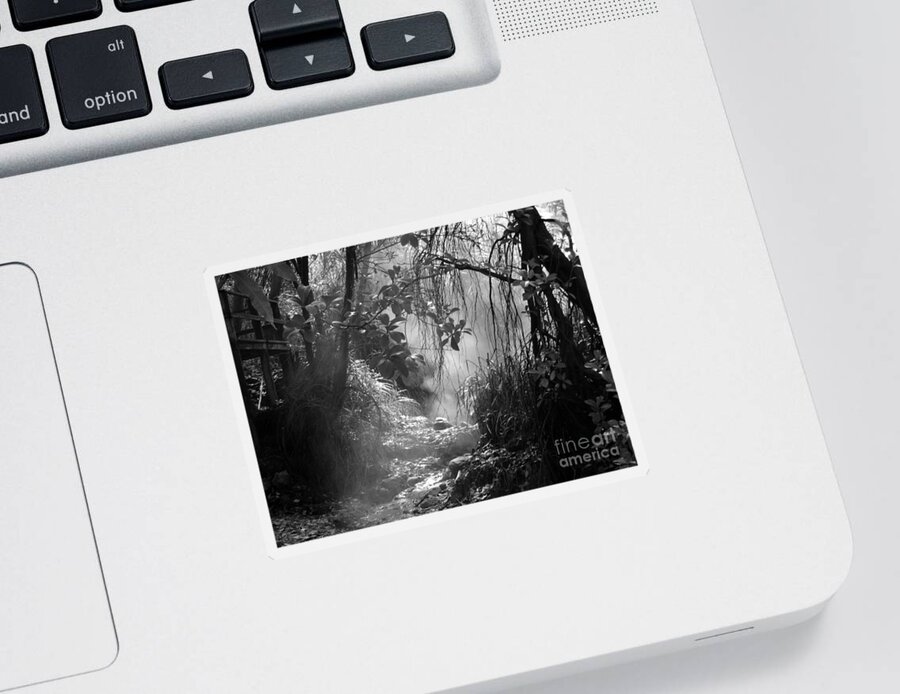 Mysterious Sticker featuring the photograph Mist In The Jungle by Susan Lafleur