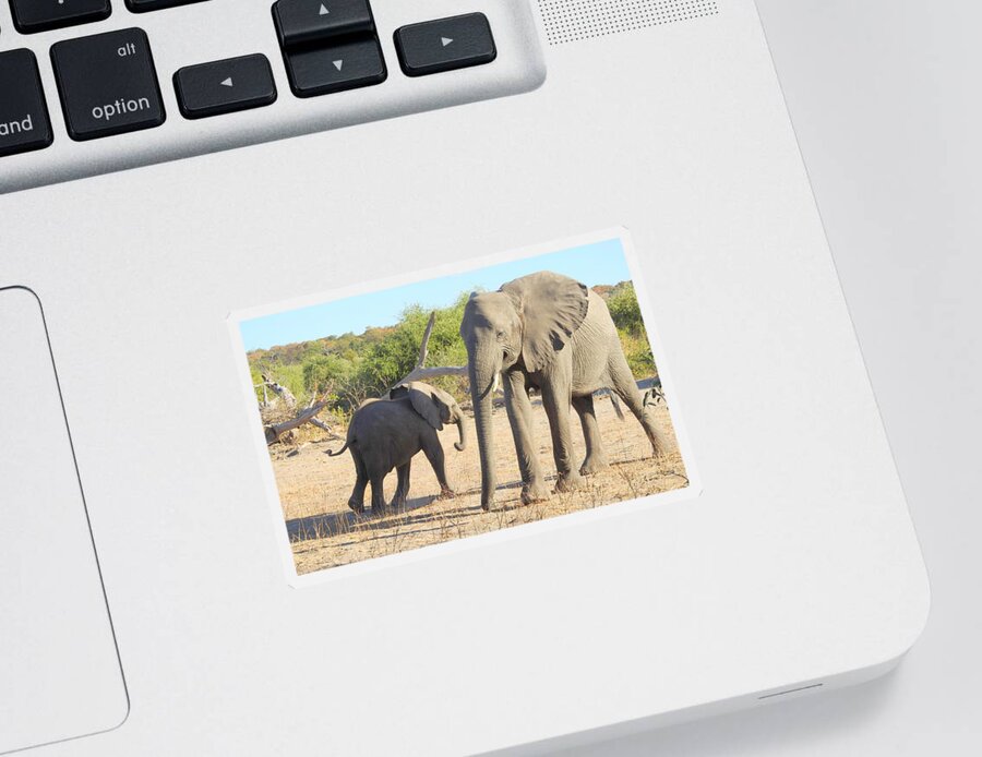 Elephants Sticker featuring the photograph Mom and Baby by Betty-Anne McDonald