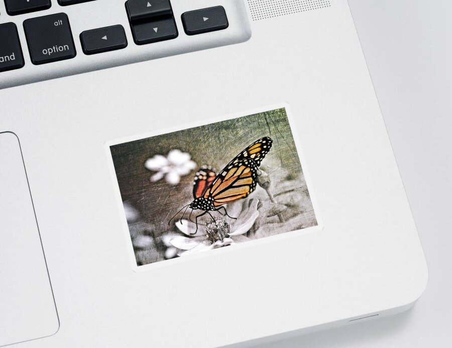 Monarch Sticker featuring the photograph Monarch Butterfly by Marianna Mills