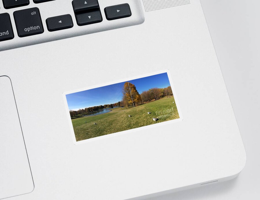 Montroyal Sticker featuring the photograph Mont Royal by Donato Iannuzzi