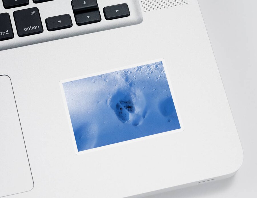 Snow Sticker featuring the photograph Moose Track by Cathy Mahnke