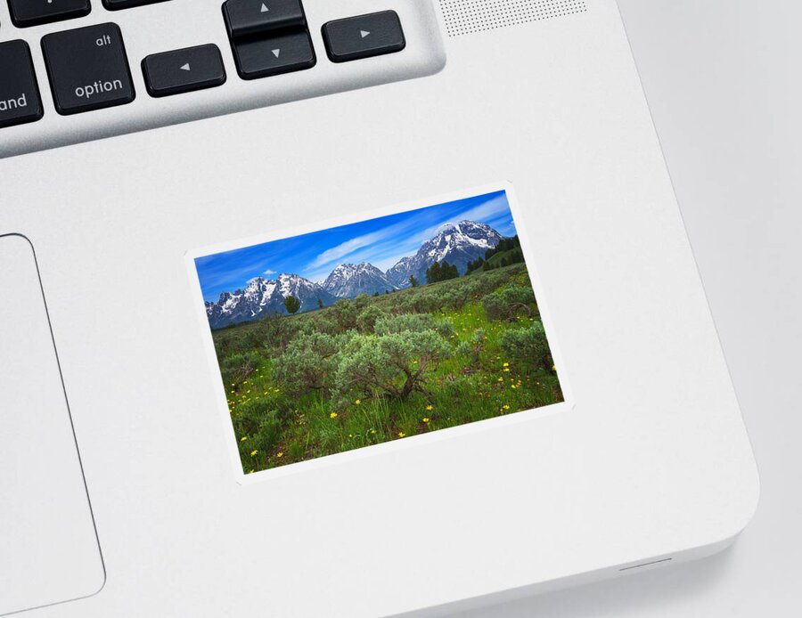 Grand Tetons Sticker featuring the photograph Moran Meadows by Darren White