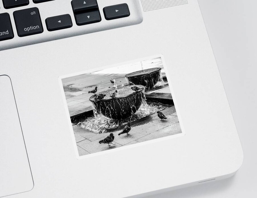 Fountain Sticker featuring the photograph Morning Bath in Sydney by Lexa Harpell