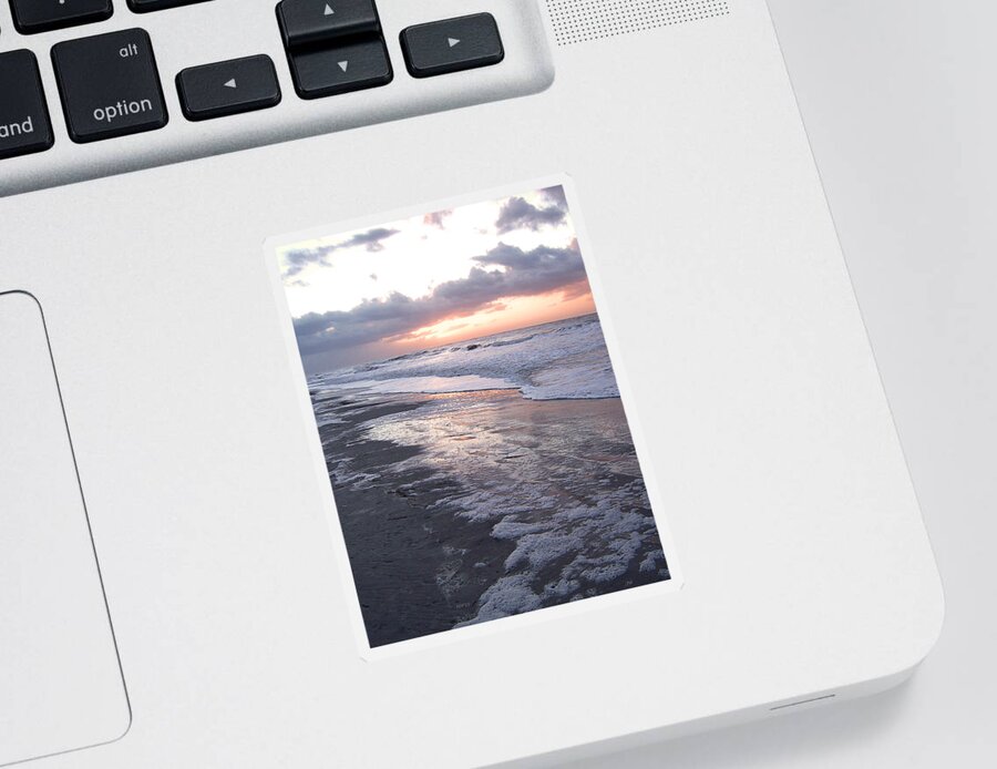 Photography Sticker featuring the photograph Morning In South Carolina by Phil Perkins