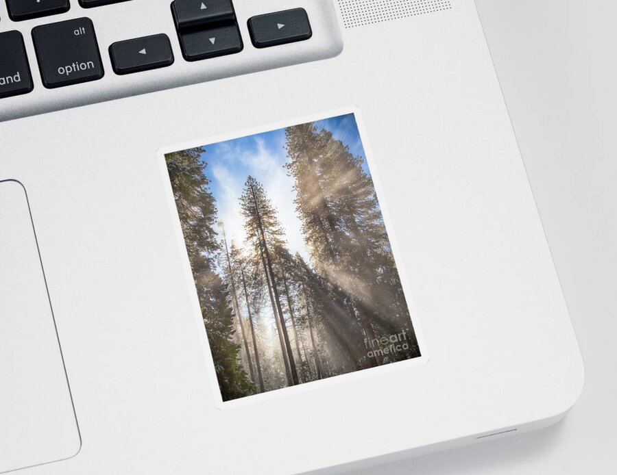 Yosemite Sticker featuring the photograph Morning Light by Anthony Michael Bonafede