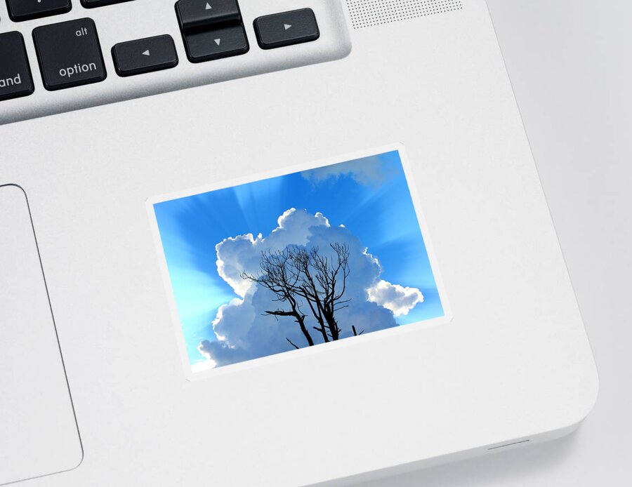 Cloud Sticker featuring the photograph Morning Magnificence by Larry Beat