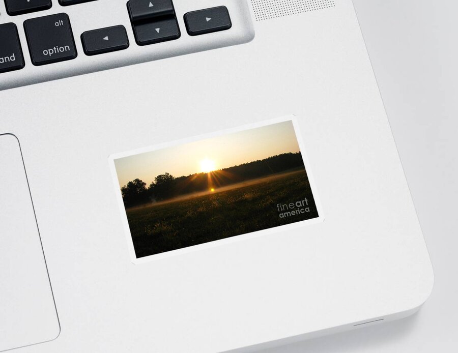 Sun Sticker featuring the photograph Morning Sun Lite Field by Donna Brown