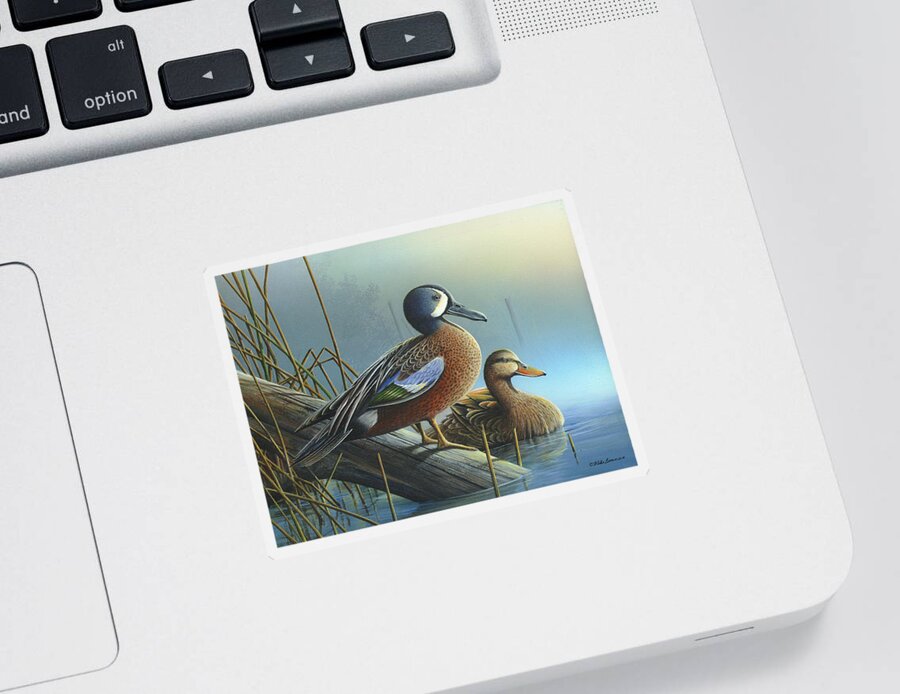Blue-winged Teal Sticker featuring the painting Morning Sun by Mike Brown