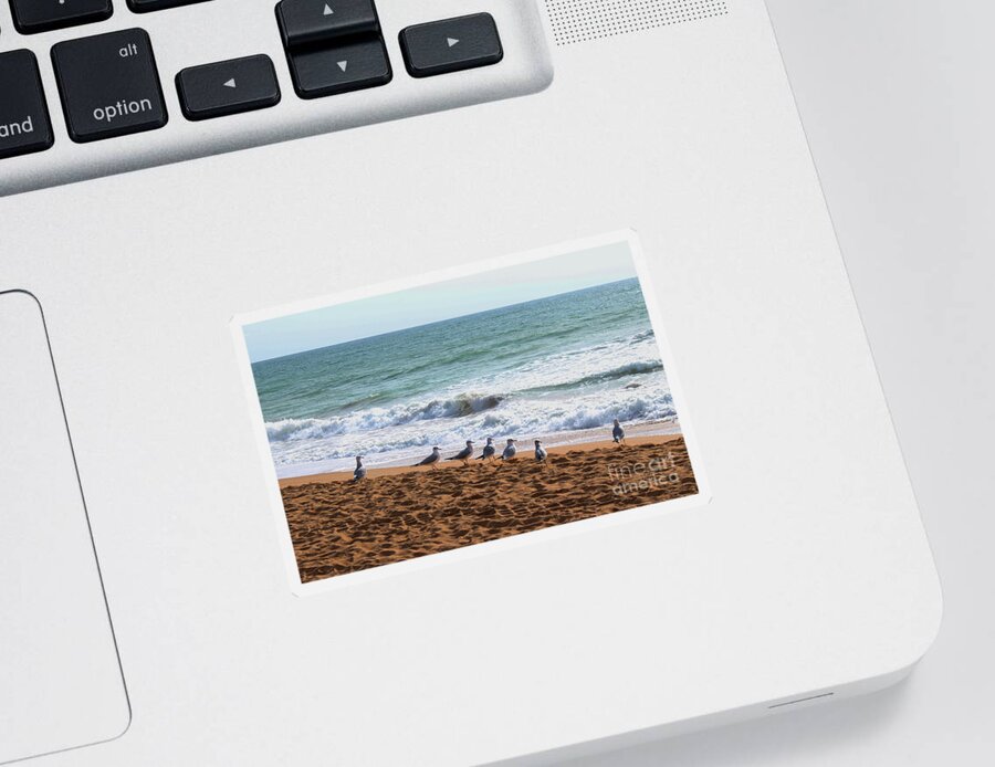 Beach Sticker featuring the photograph Morning Surf Portugal by Eddie Barron