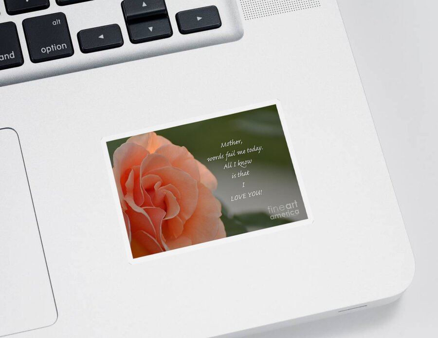 Rose Sticker featuring the photograph Mother I Love You by Debby Pueschel