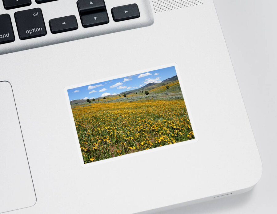 No People Sticker featuring the photograph Mountain Meadows of Yellow Wildflowers by Brett Pelletier