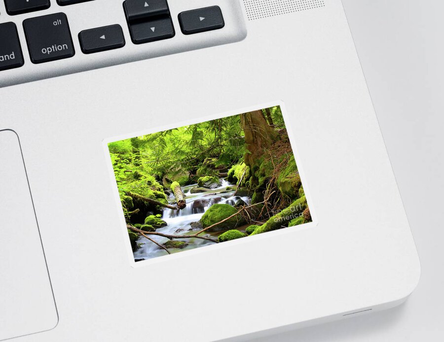 Fir Tree Sticker featuring the photograph Mountain Stream in the Pacific Northwest by Bruce Block