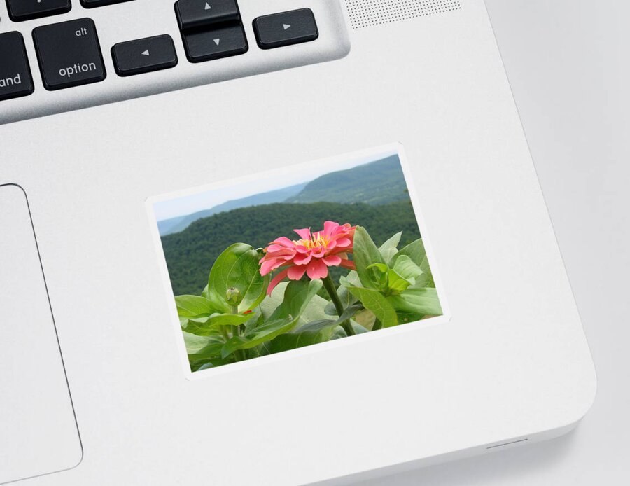 Mountain Top Sticker featuring the photograph Mountain Top Flower by Mary Halpin