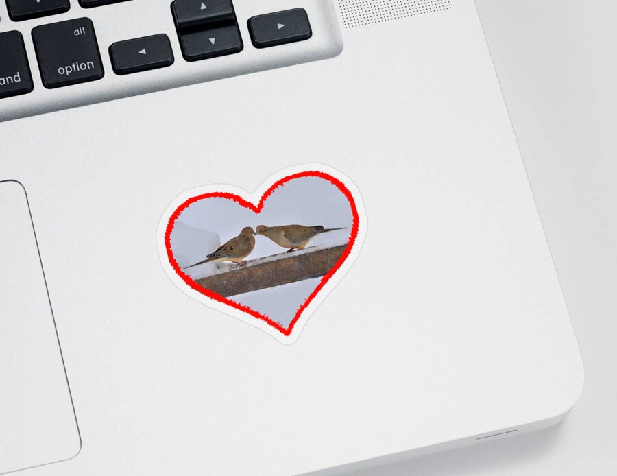 Mourning Doves; Birds; Love; Touching; Beaks Sticker featuring the photograph Mourning doves kissing by Dan Friend
