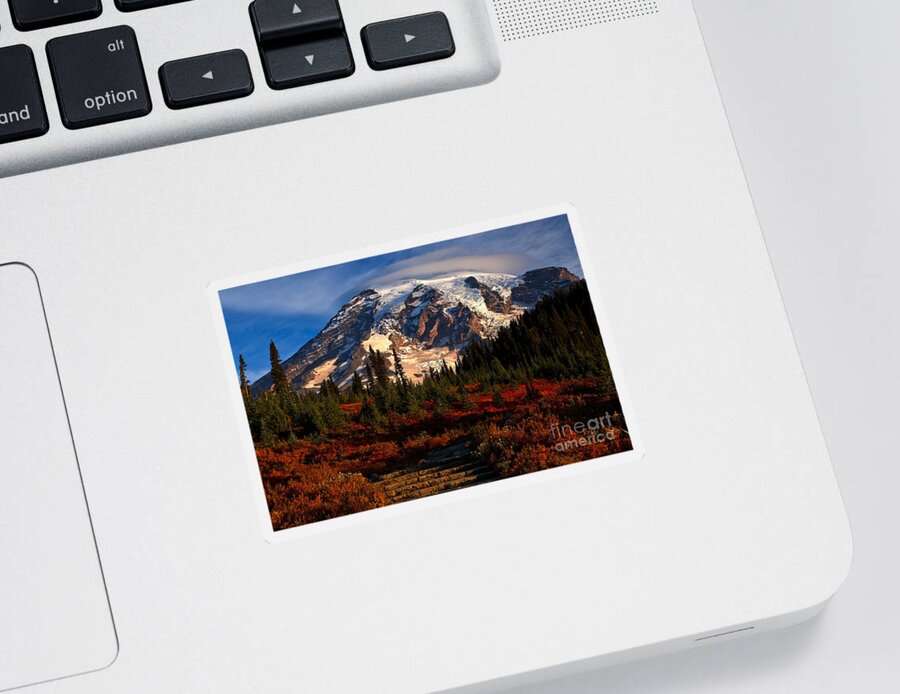 Mt Rainier National Park Sticker featuring the photograph Mt. Rainier Paradise Morning by Adam Jewell