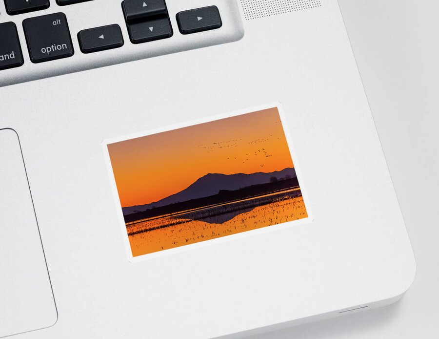 Landscape Sticker featuring the photograph Mt.Diablo Reflection and Birds by Marc Crumpler