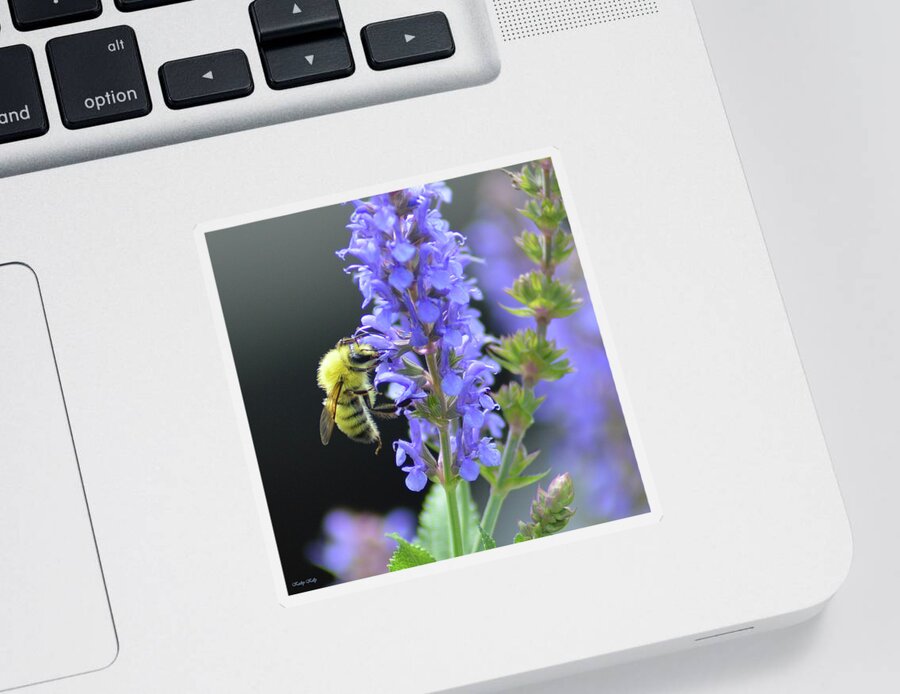 Honey Bee Sticker featuring the photograph My Precious by Kathy Kelly