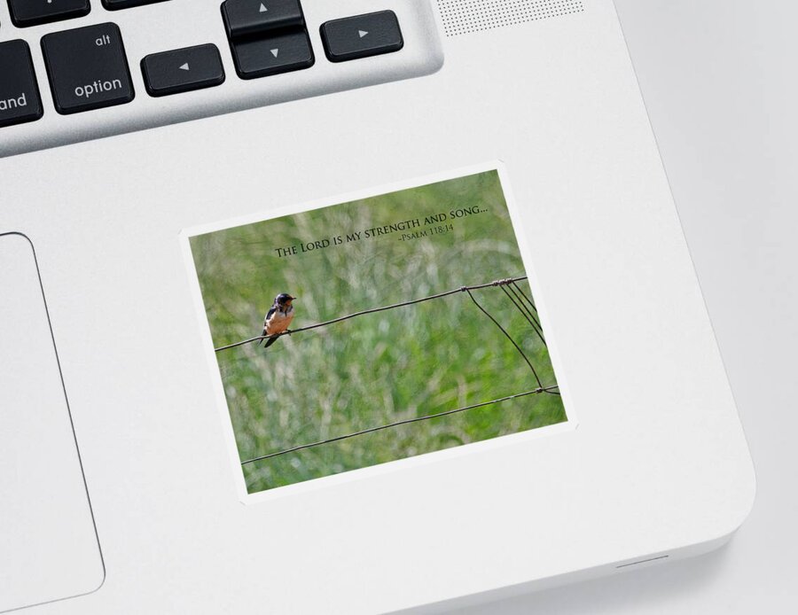 Nature Sticker featuring the photograph My Strength by Bonnie Bruno