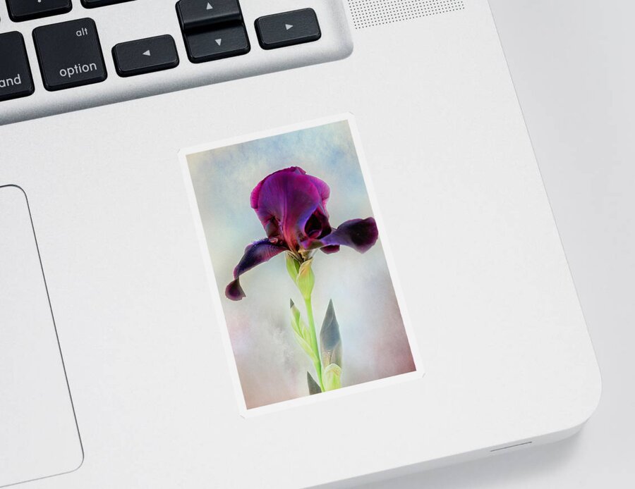 Black Iris Print Sticker featuring the photograph Mystical Black Iris Print by Gwen Gibson