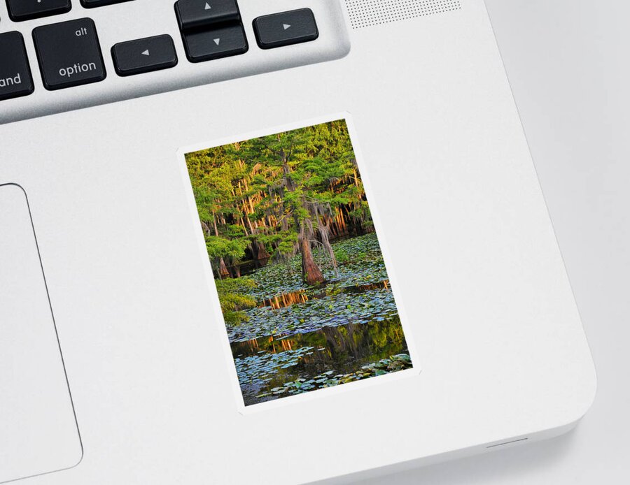Bog Sticker featuring the photograph Naked by Skip Hunt