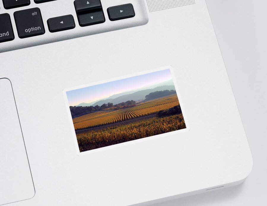 Landscape Sticker featuring the photograph Napa Valley California 3 by Xueling Zou