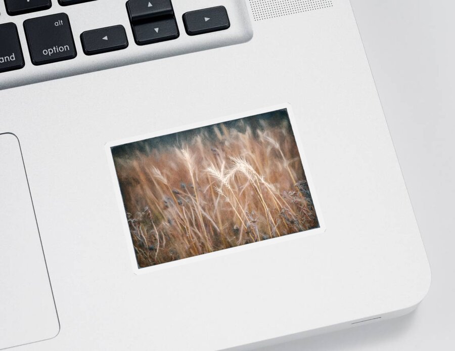 Scott Norris Photography Sticker featuring the photograph Native Grass by Scott Norris