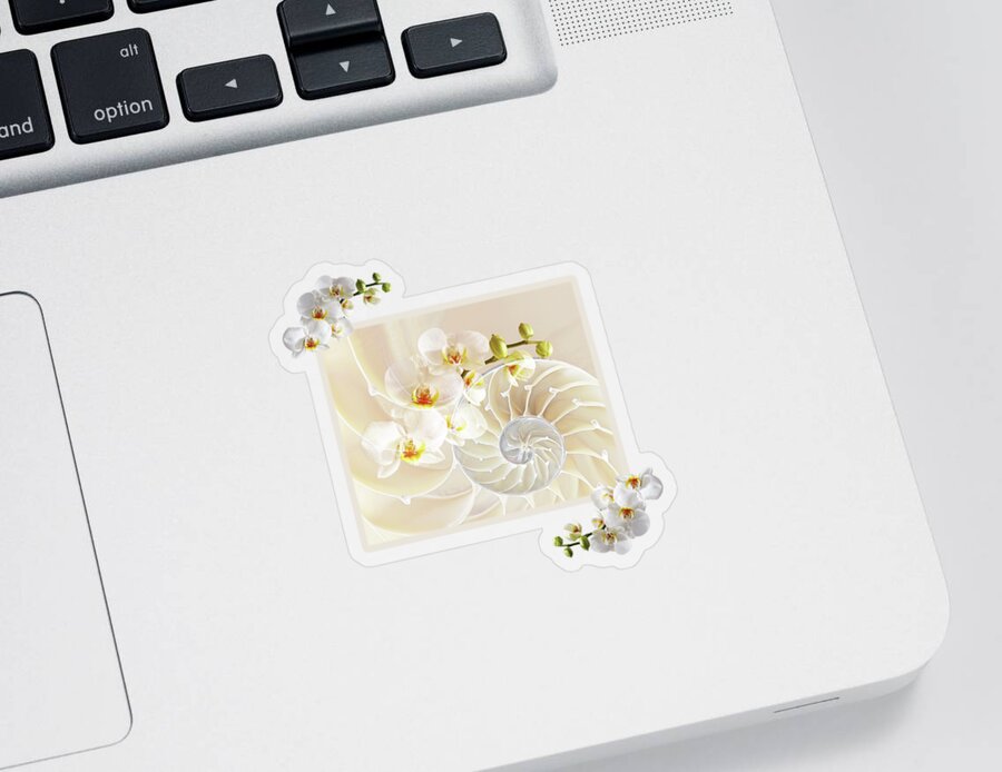 Nautilus Shell Sticker featuring the photograph Natural Fusion by Gill Billington