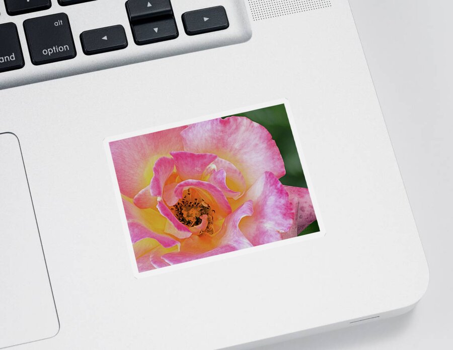 Flower Sticker featuring the photograph Nature's Beauty by Ed Clark