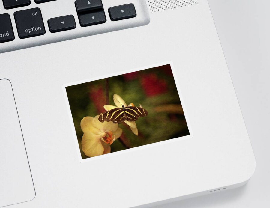 Natures Moment Sticker featuring the photograph Natures Flutter by Karol Livote
