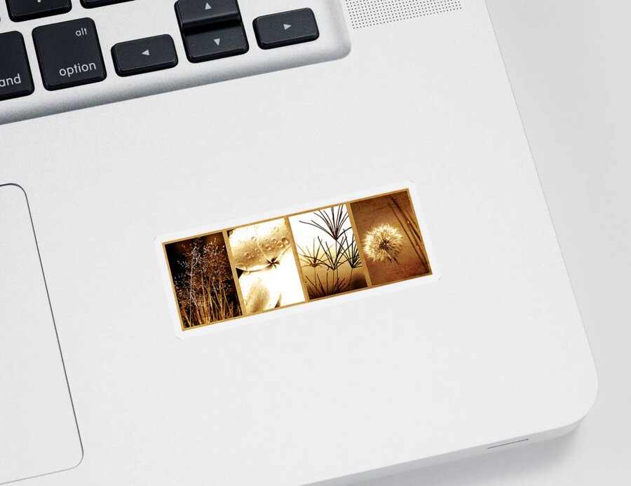 Floral Sticker featuring the photograph Nature's Window by Holly Kempe