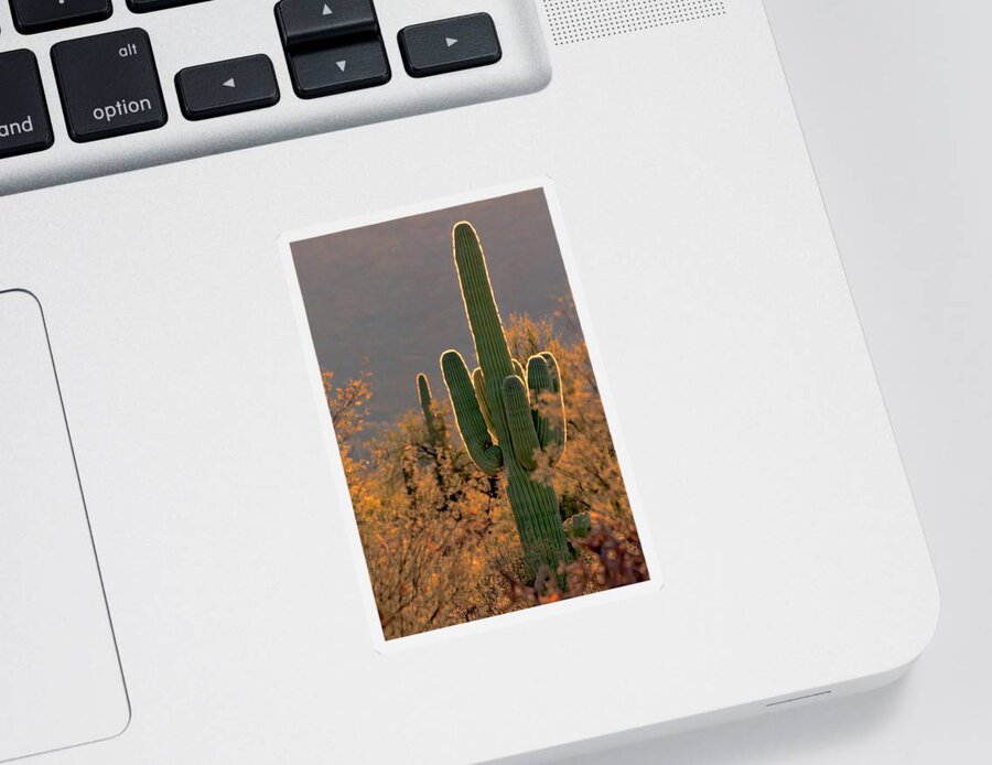 Cactus Sticker featuring the photograph Neon Saguaro #2 by Susan Rissi Tregoning