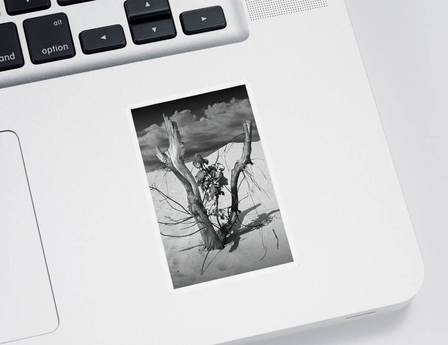 Art Sticker featuring the photograph New Life between Dead Tree Branches by Randall Nyhof