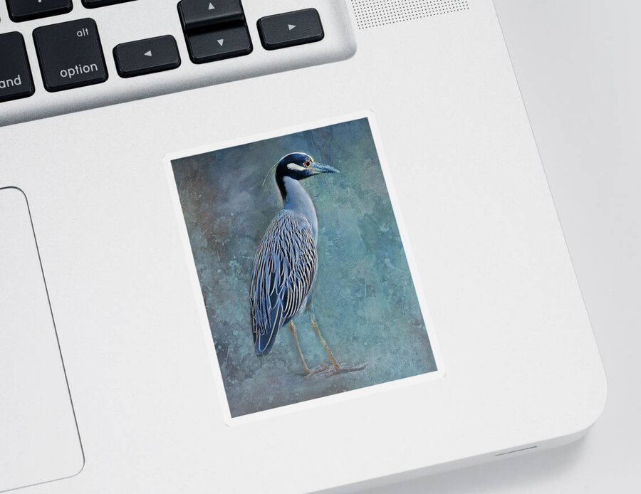 Yellow Crowned Night Heron Sticker featuring the photograph Night Heron Blues by HH Photography of Florida