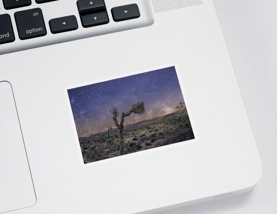 Night Sky Sticker featuring the photograph Night Sky by Alison Frank