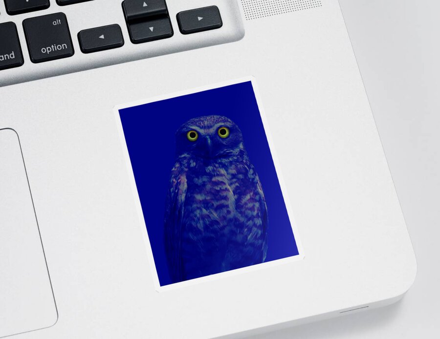 Owl Sticker featuring the photograph Night Stare by Shane Bechler