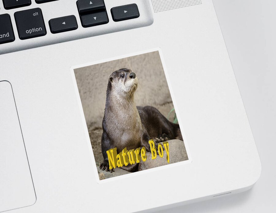 Nature Wear Sticker featuring the photograph North American Otter Nature Boy by LeeAnn McLaneGoetz McLaneGoetzStudioLLCcom