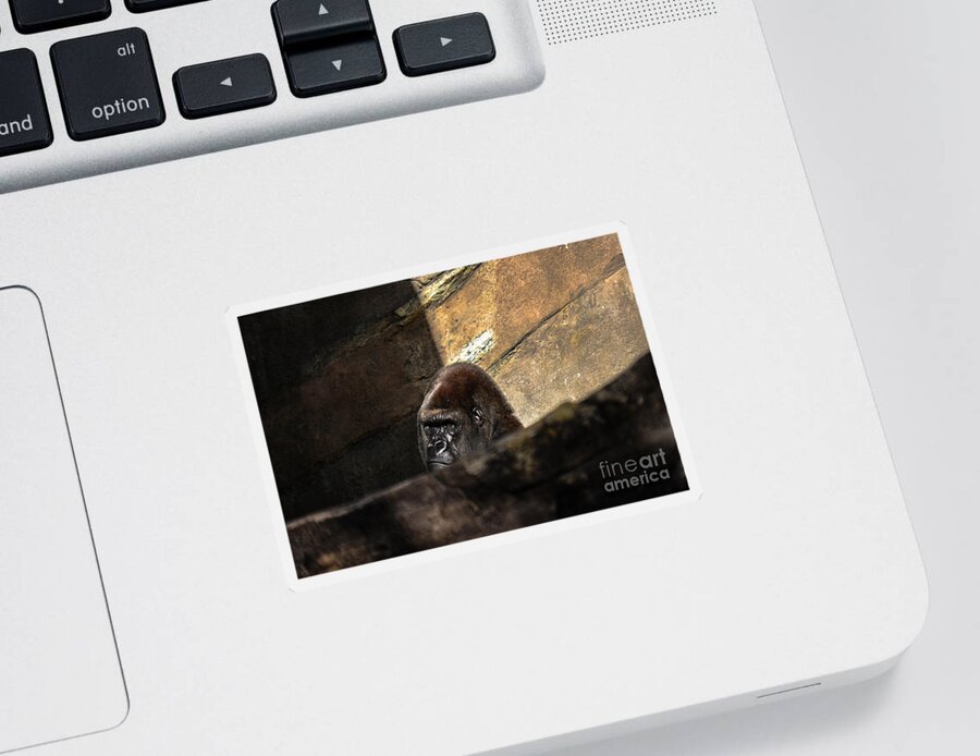 Primate Sticker featuring the photograph Not Today by Gary Keesler
