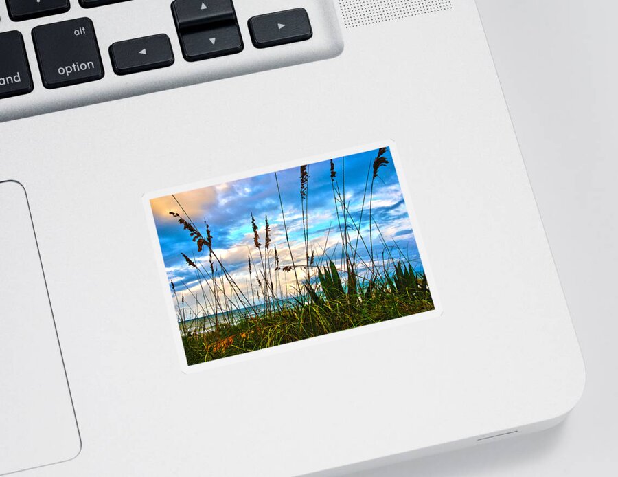Beach Sticker featuring the photograph November Day at the Beach in Florida by Susanne Van Hulst